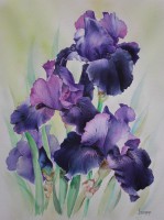 /album/jacqueline-legendre-aquarelles/a1-aquarelle-40-x-50-cm-jpg/